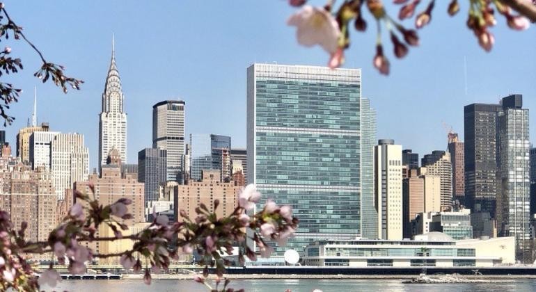 Global Diplomacy Takes Center Stage as UN General Assembly High-Level Week Opens