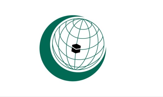 OIC pledges support for speedy Rohingya repatriation