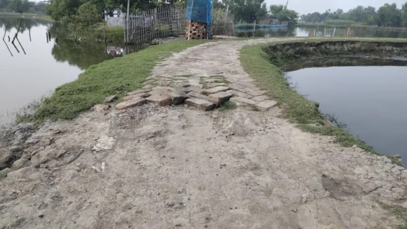 UP Member Accused of Removing Road Bricks in Satkhira